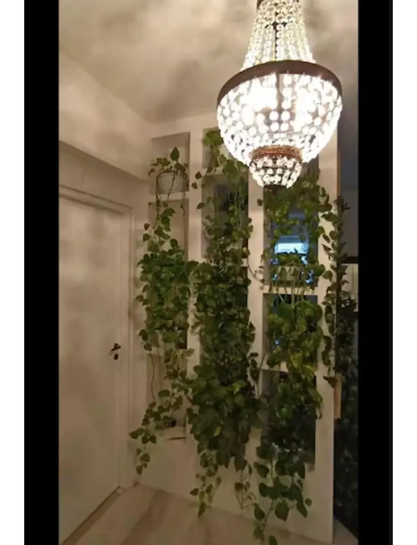 Casa Serenissima Holiday Home Roma Barbara Bonanno Apartment Rome